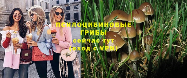 ALPHA-PVP Новокубанск