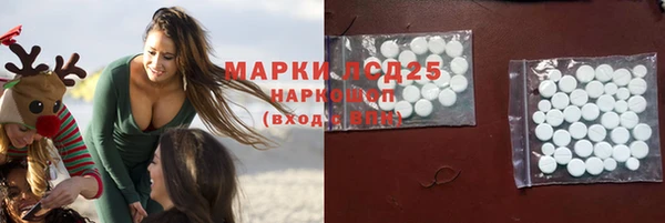 прущие крисы Новозыбков