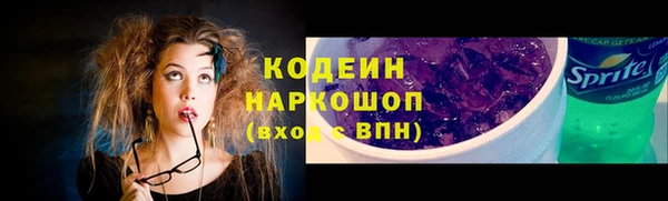 прущие крисы Новозыбков