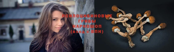 ALPHA-PVP Новокубанск