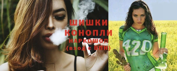 прущие крисы Новозыбков