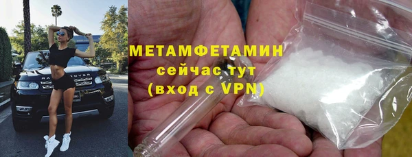 прущие крисы Новозыбков