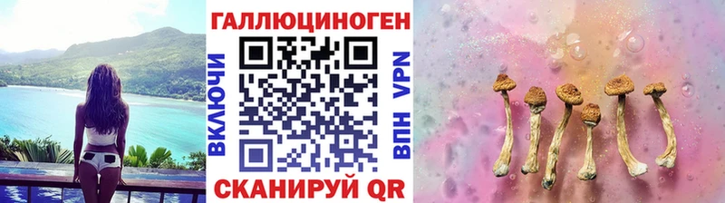 Псилоцибиновые грибы GOLDEN TEACHER  где купить наркотик  Ростов 