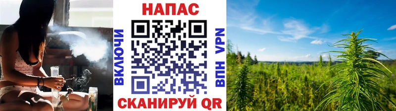 Бошки марихуана индика  наркота  Ростов 
